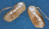 Bronze Age Shoe
Hair-On Hand-stitched Footwear